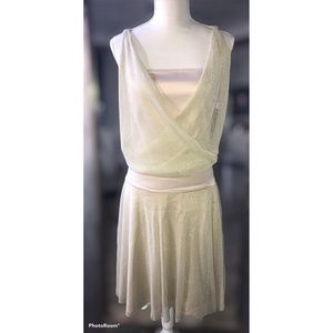 NWT NECESSARY OBJECTS METALLIC GOLD MESH PARTY DRESS M